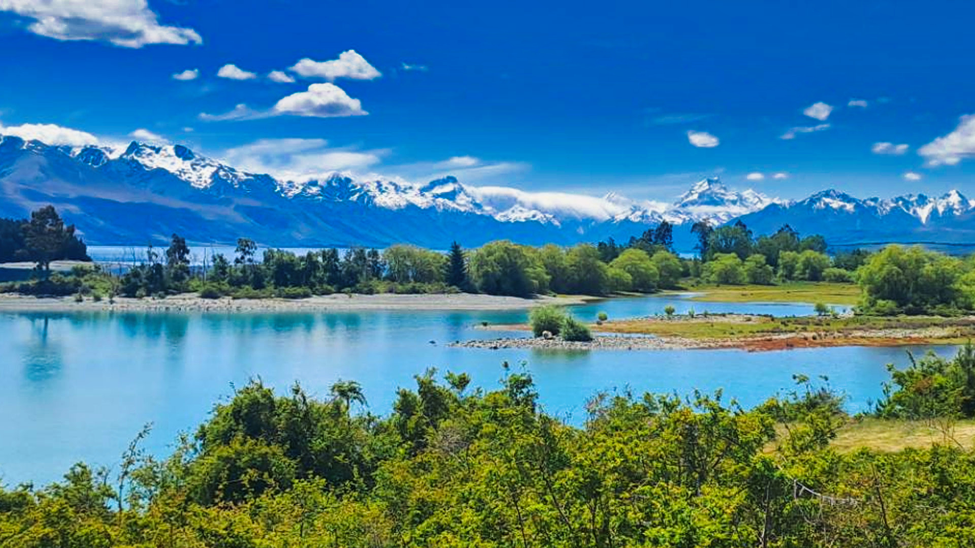 Ride New Zealand with the self-guided cycle trail experts